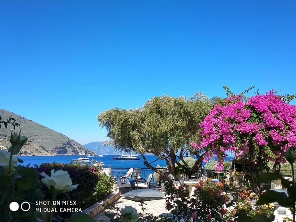 Waterside Apartments Agia Efimia Exteriér fotografie